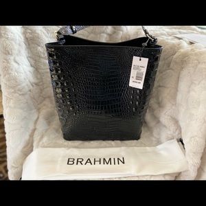 Brahmin large Amelia